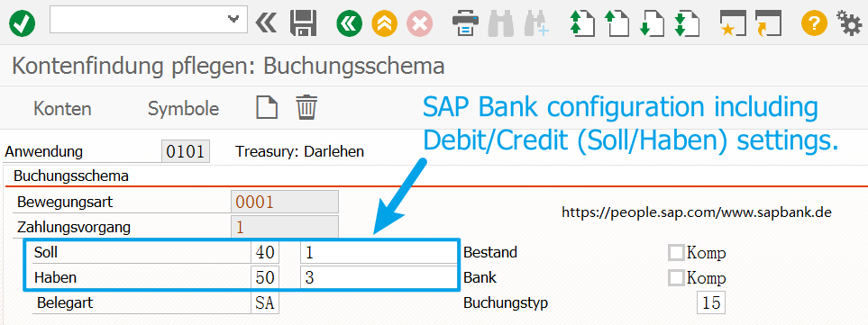 Debit and credit settings in SAP